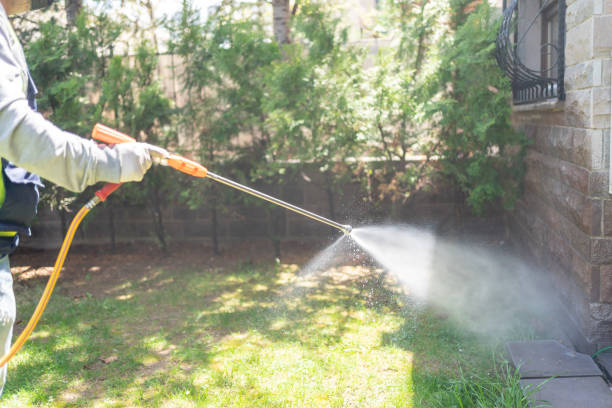 Best Wildlife Removal  in East Moriches, NY